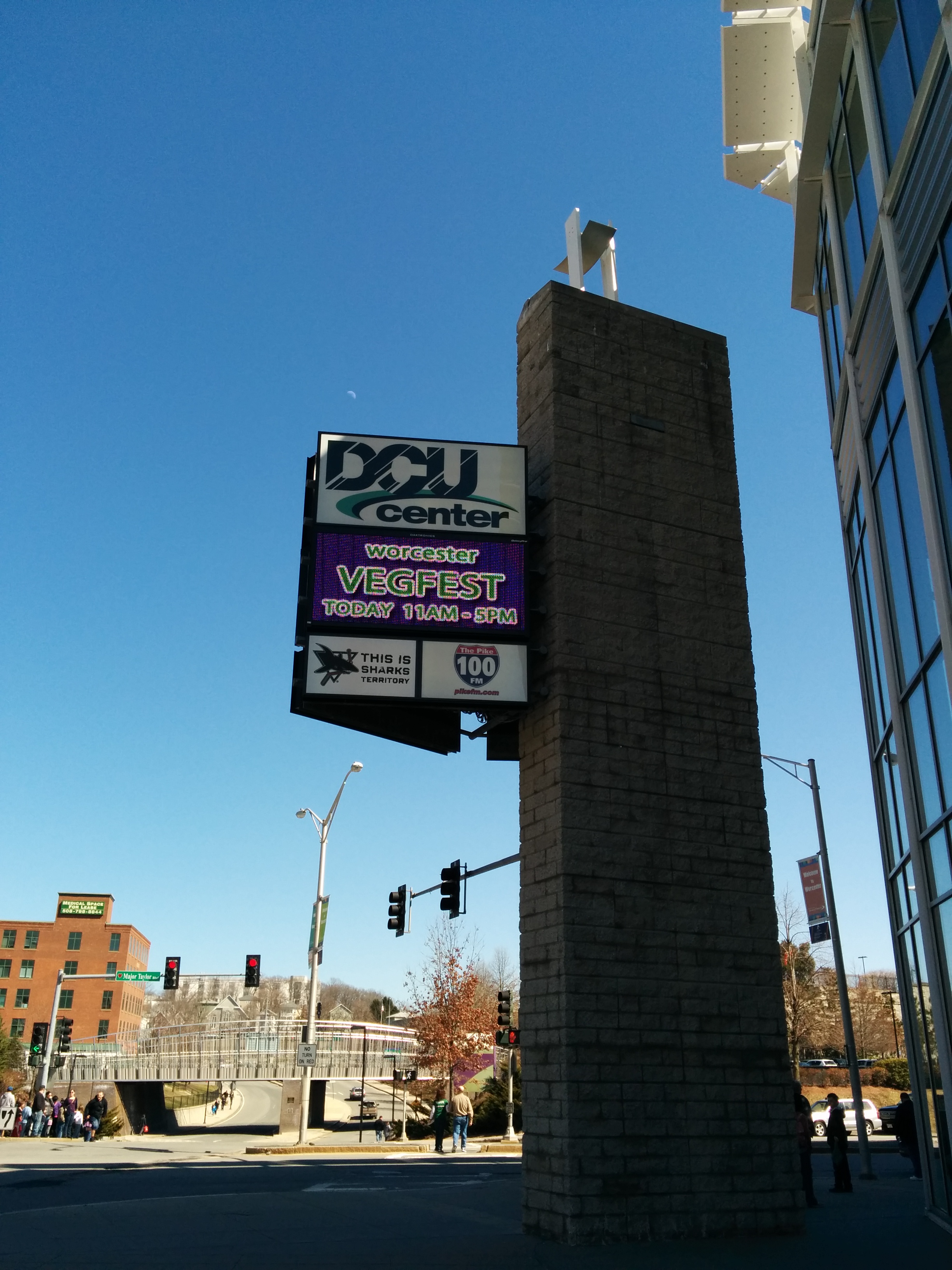 Worcester Vegfest 2014!